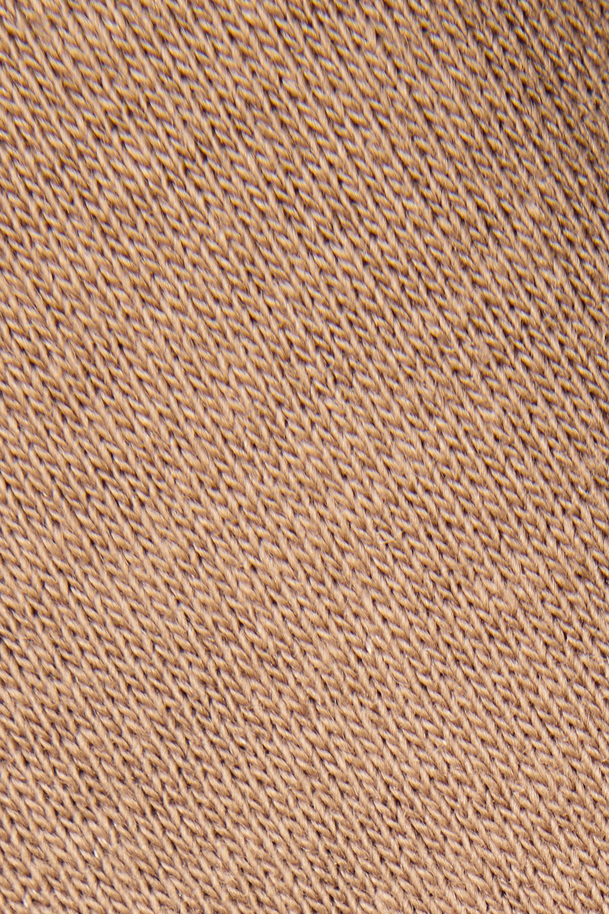 Spodnie Dresowe Beżowe z Haftem z Bawełną PM4