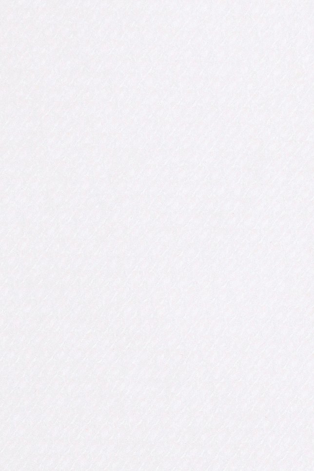 Koszulka Polo z Bawełny Biała PM2